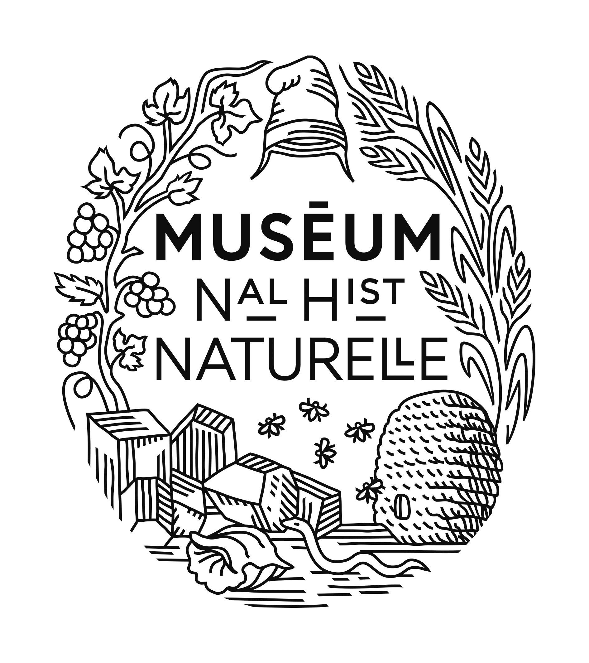 museum national d histoire naturelle 2